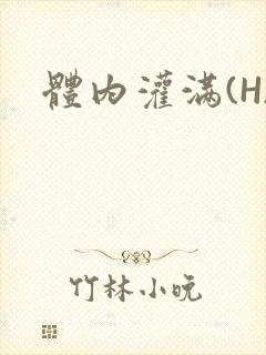 体内灌满(H)封面