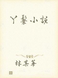 丫鬟小说