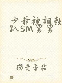 少爷被调教室跪趴SM男男