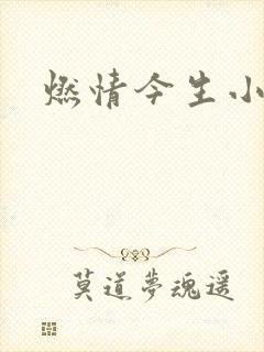 燃情今生小说