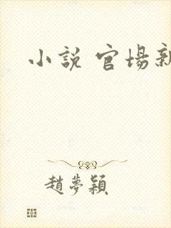 小说 官场新贵