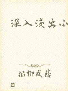 深入浅出小说