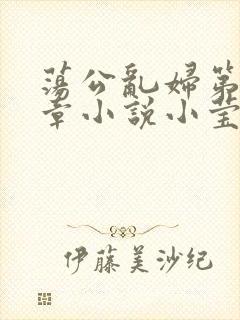荡公乱妇第51章小说小莹