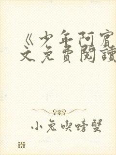 《少年阿宾》全文免费阅读