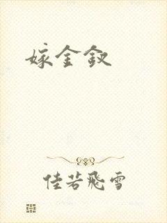 嫁金钗封面
