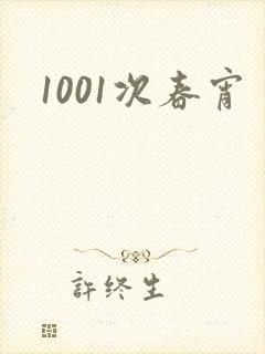 1001次春宵封面