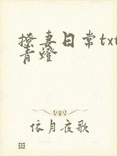 撩妻日常txt青灯