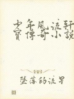 少年风流轩辕大宝传奇小说封面
