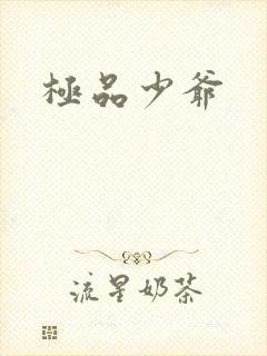 极品少爷