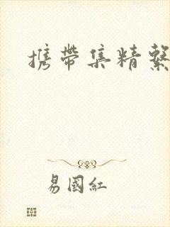 携带集精系统