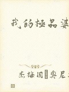 我的极品婆婆