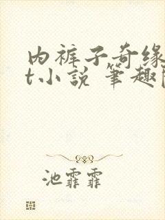 内裤子奇缘txt小说 笔趣阁