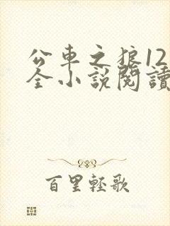 公车之狼12集全小说阅读