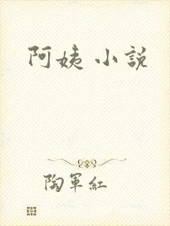阿姨 小说封面