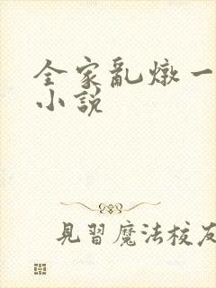 全家乱炖一锅烩小说