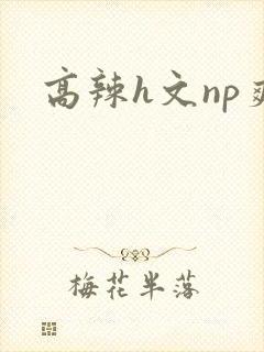 高辣h文np爽