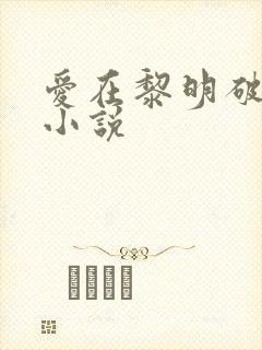 爱在黎明破晓前小说