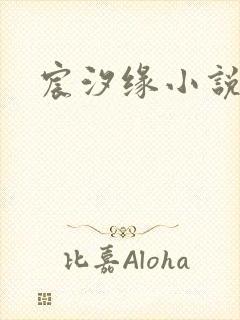 宸汐缘小说