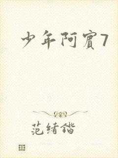 少年阿宾7封面
