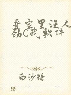 哥家里没人使点劲C我软件
