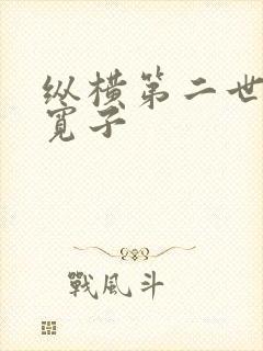 纵横第二世界 宽子