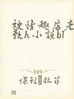 被情趣店老板调教h小说bl封面