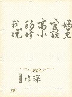 我的高官妈妈苏晚晴小说免费阅读封面