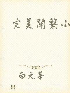 完美关系小说
