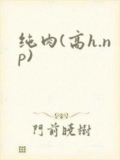 纯肉(高h.np)