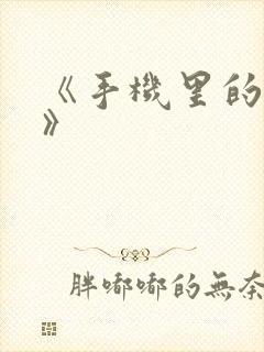 《手机里的秘密》封面