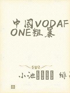 中国VODAFONE粗暴