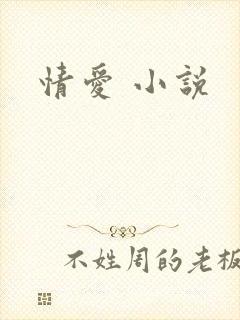 情爱 小说