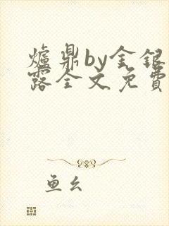 炉鼎by金银花露全文免费阅读笔趣阁