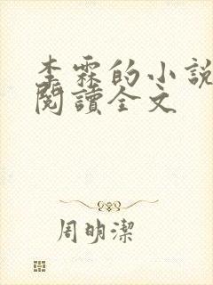 李霖的小说免费阅读全文