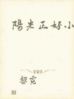 阳光正好小说