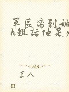 军区脔到她哭hh粗话他是疯批封面