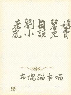 老刘日儿媳妇张岚小说免费阅读封面