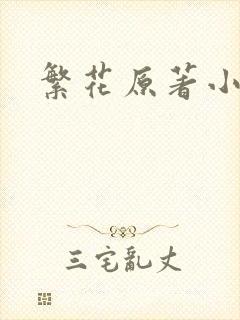 繁花原著小说
