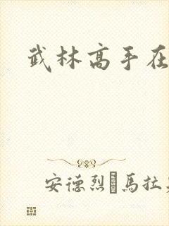武林高手在异界封面