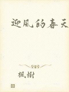 迎风的春天封面