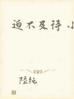 迫不及待 小穴