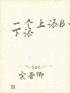 一个上添B一个下添