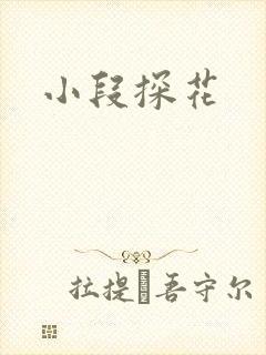 小段探花封面