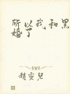 所以我和黑粉结婚了