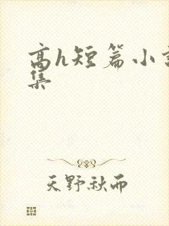 高h短篇小说合集