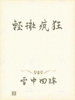 轻微疯狂封面
