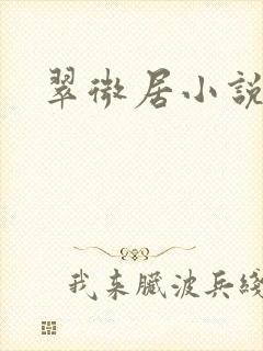 翠微居小说
