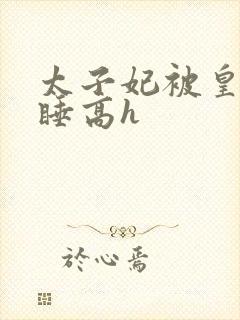 太子妃被皇上强睡高h