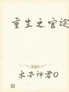 重生之官途辉煌