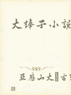 大棒子小说